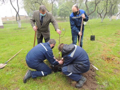 6-polosa_zavod-sad_2_dscn