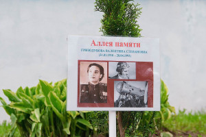 на крыльях «Родины» - фото - 1